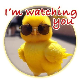 👮‍♂