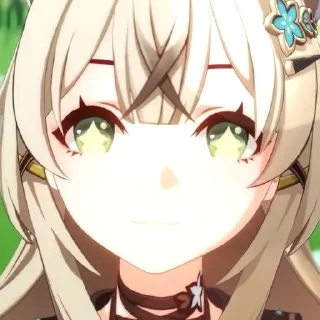 🐈