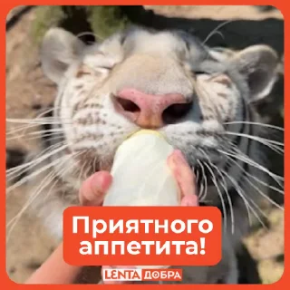 😋