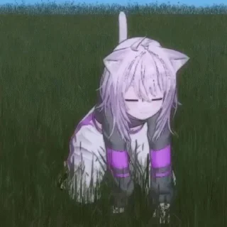 🐈