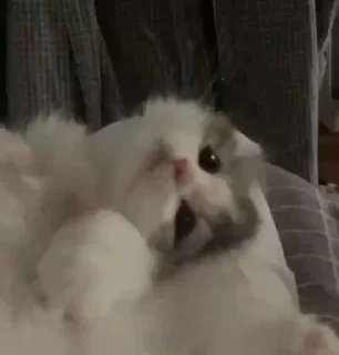 😍