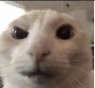 🤨