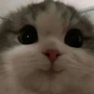 😊