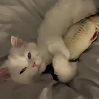 😚