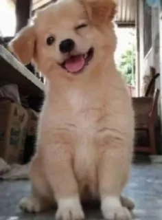 😉