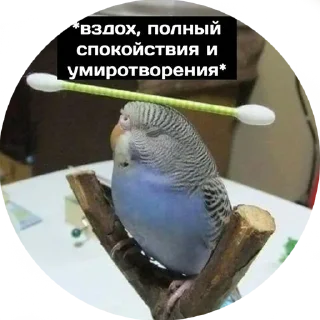🙂