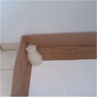 👀