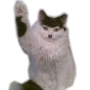 🖐