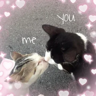 💞