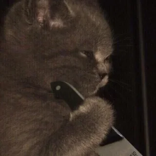 🔪