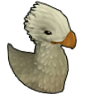 🐥