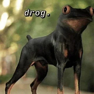 🐶