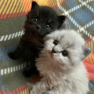 ❤️