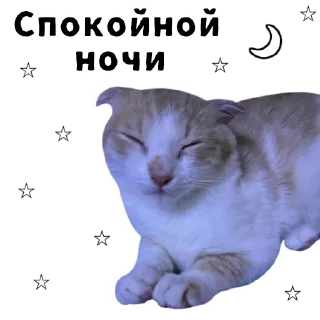 😴