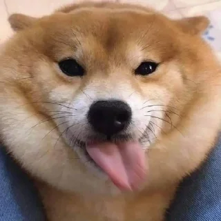 💓