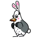 🐰