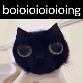 😳