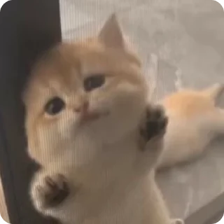 🙂
