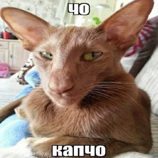 ❔