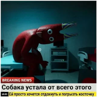 👤
