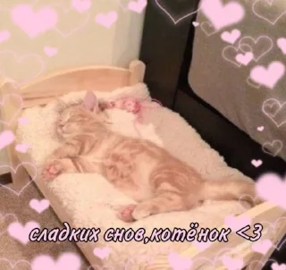 😴