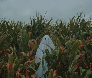 👻
