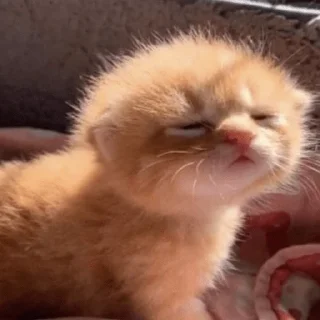 💗