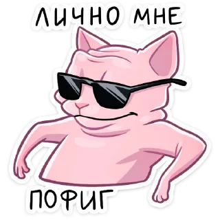 😎