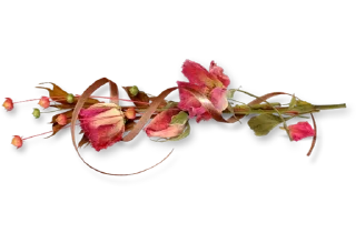 🌺