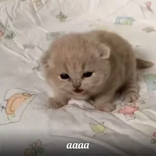 😲