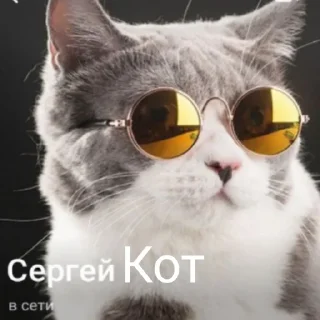 😸
