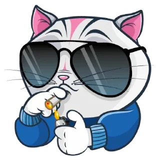 😎