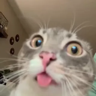 😯