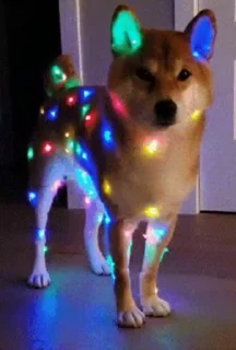 🎄