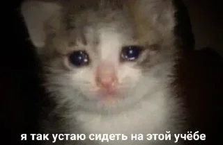 😢