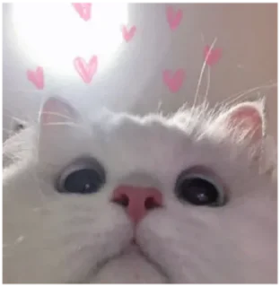 😬