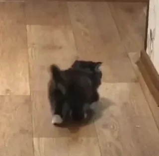 🎀