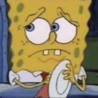🧽