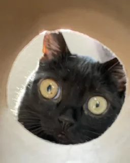 😳