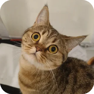 😳