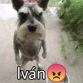 😡
