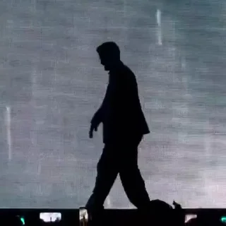 🚶‍♀️