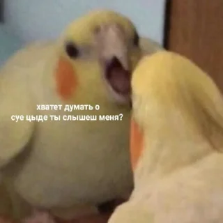😠