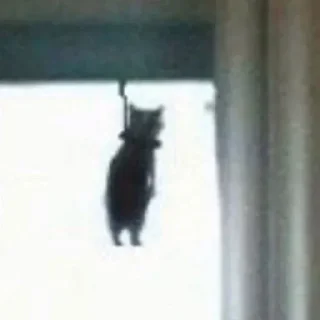 ☠