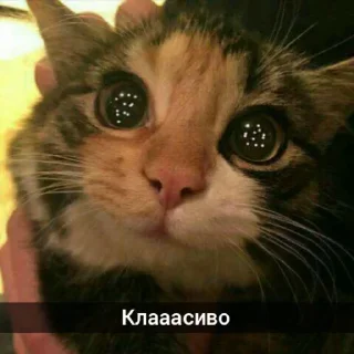 😍