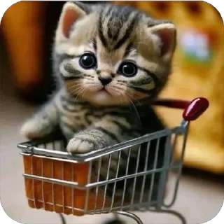 🛒