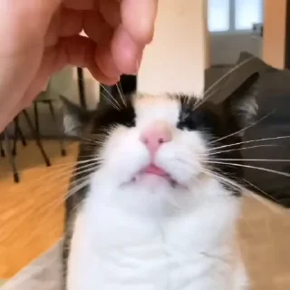 😃