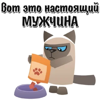 🐱