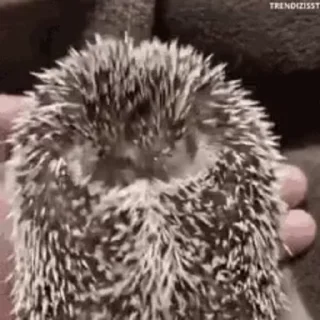 ☺