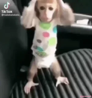😱